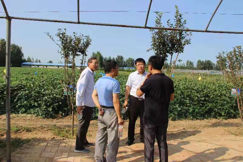 微信图片_20190923091349.jpg